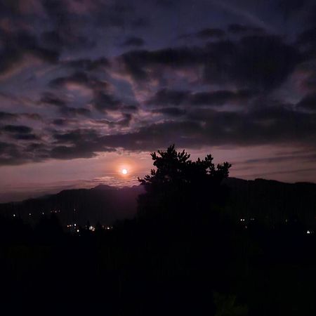 Stockreutehof Lägenhet Sulzberg  Exteriör bild