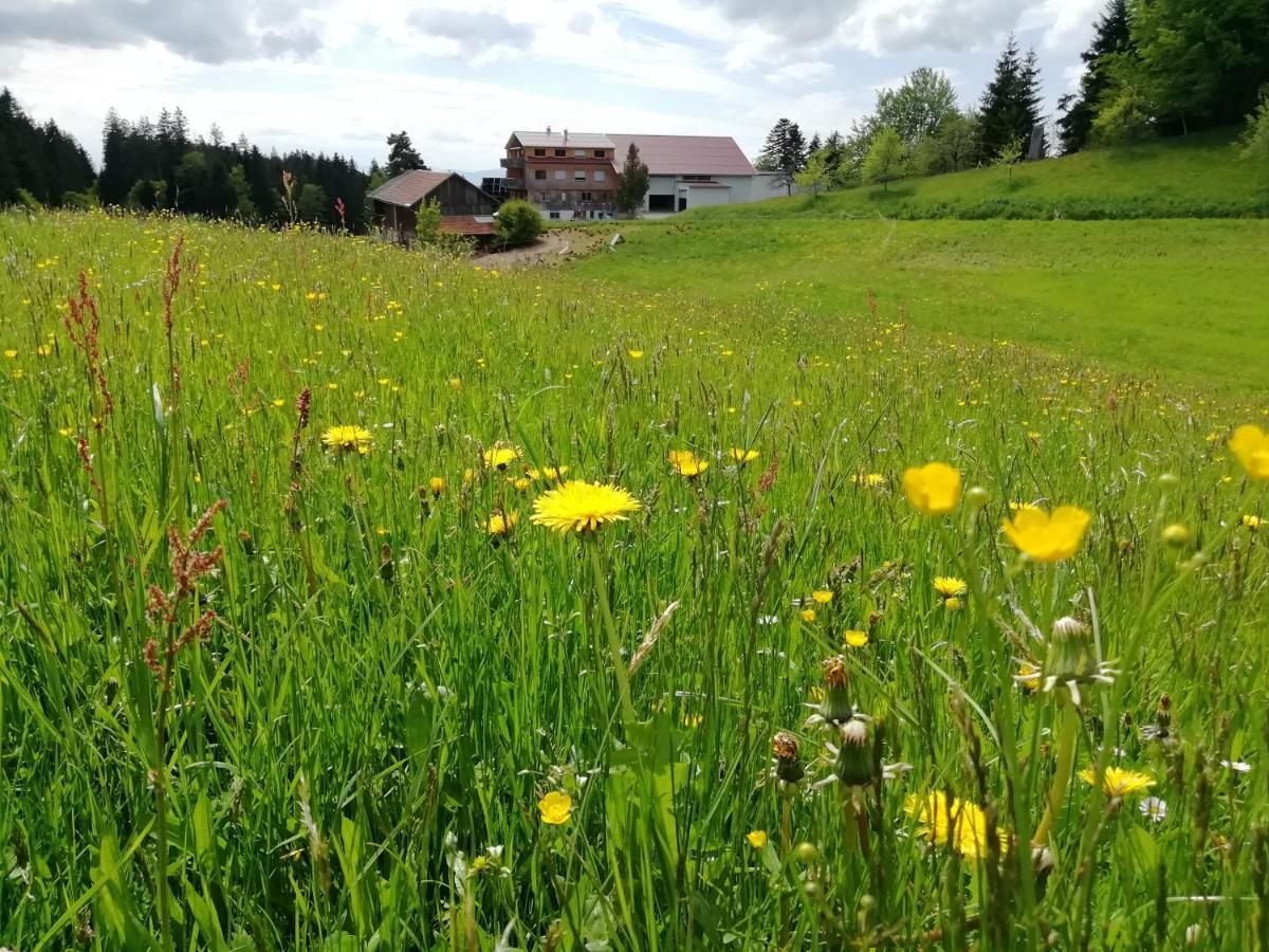 Stockreutehof Lägenhet Sulzberg  Exteriör bild