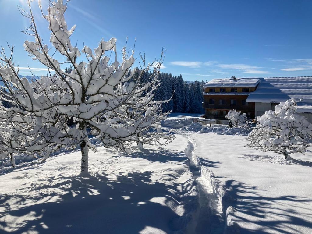 Stockreutehof Lägenhet Sulzberg  Exteriör bild