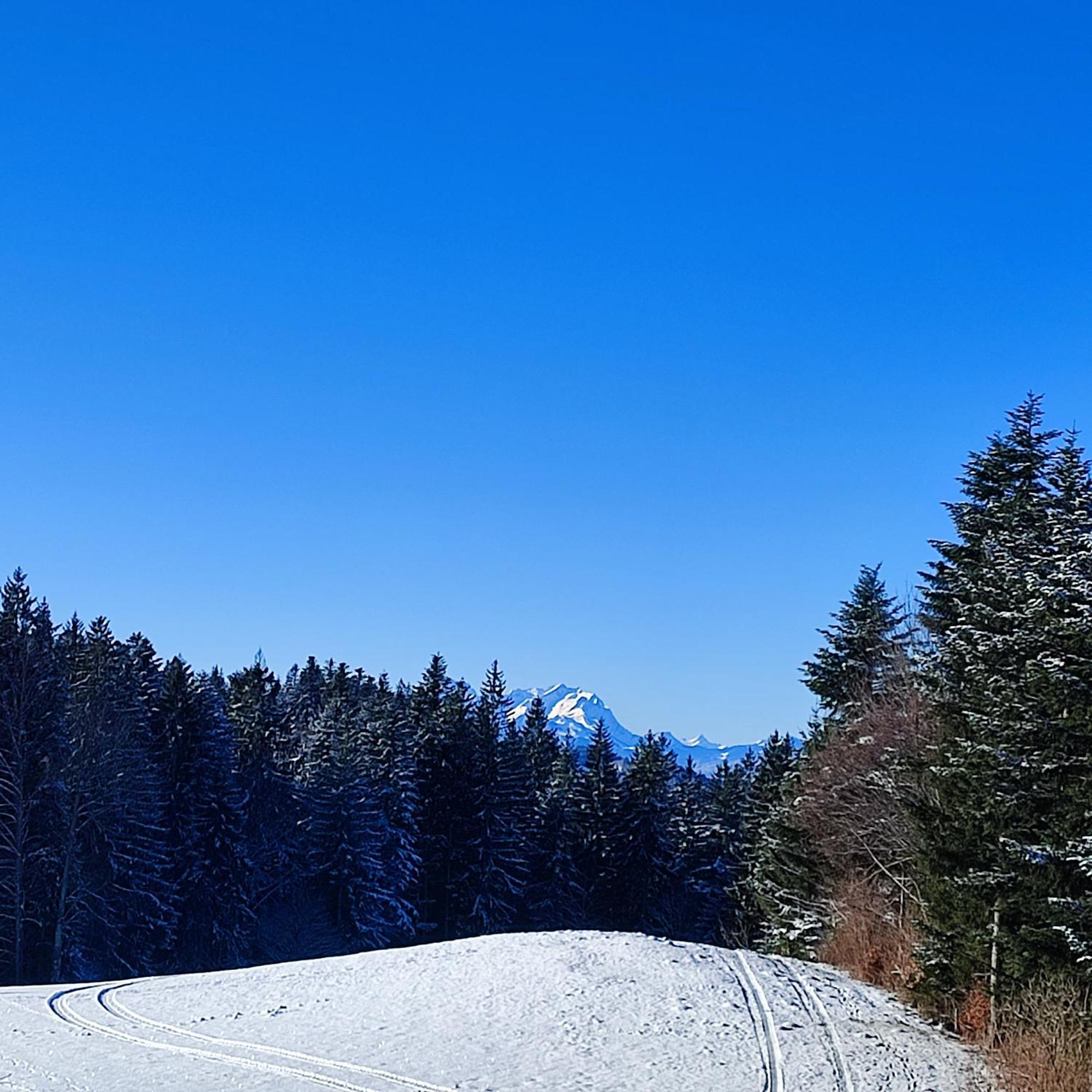 Stockreutehof Lägenhet Sulzberg  Exteriör bild