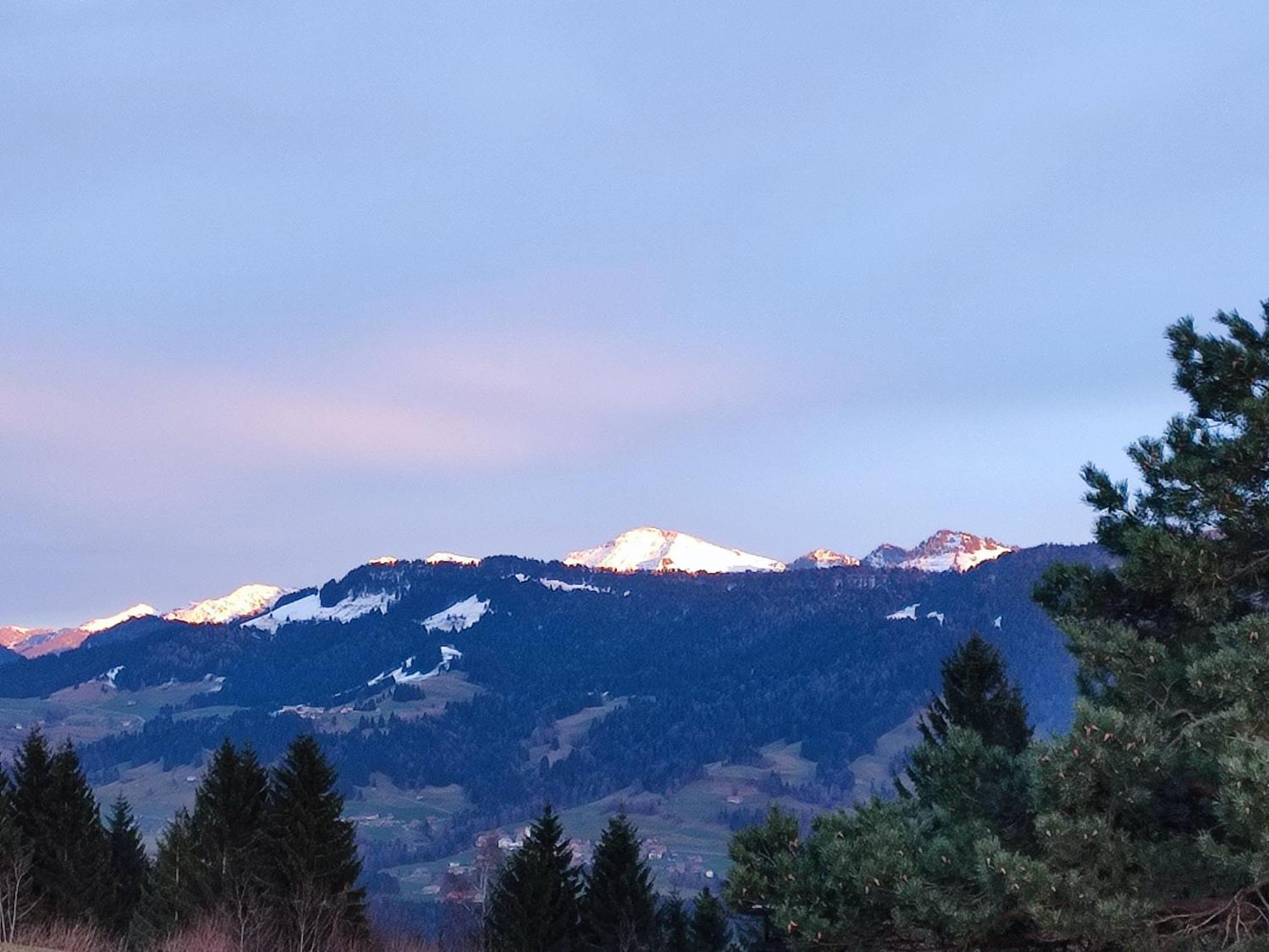 Stockreutehof Lägenhet Sulzberg  Exteriör bild