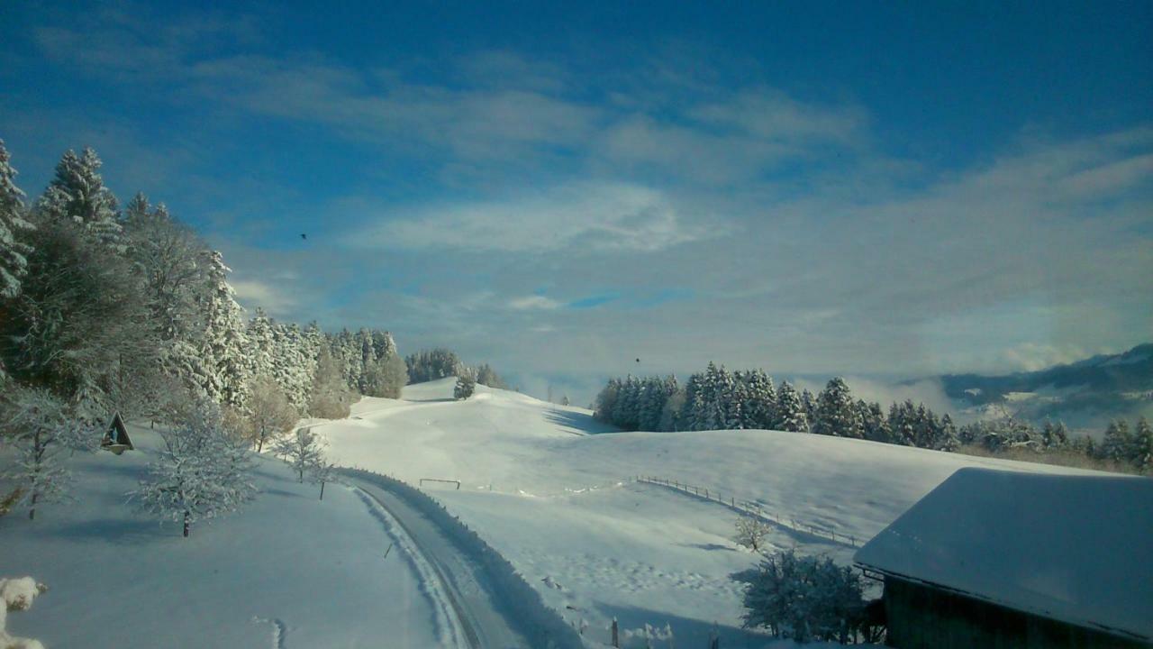 Stockreutehof Lägenhet Sulzberg  Exteriör bild