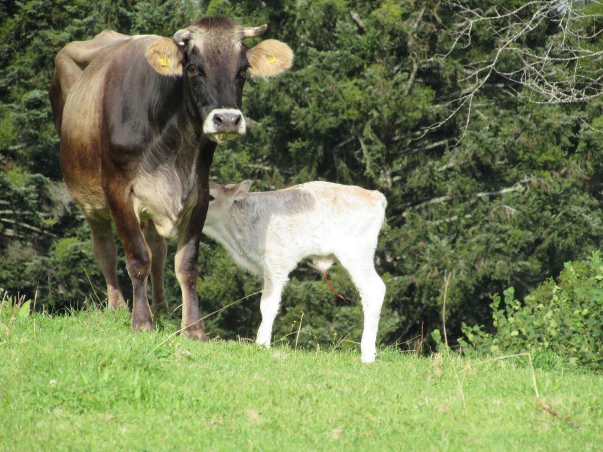 Stockreutehof Lägenhet Sulzberg  Exteriör bild