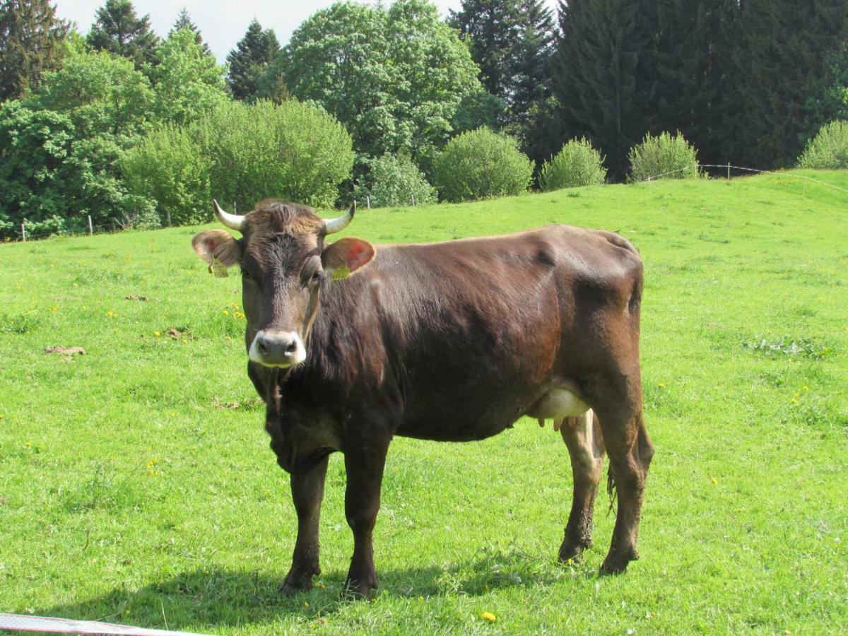 Stockreutehof Lägenhet Sulzberg  Exteriör bild