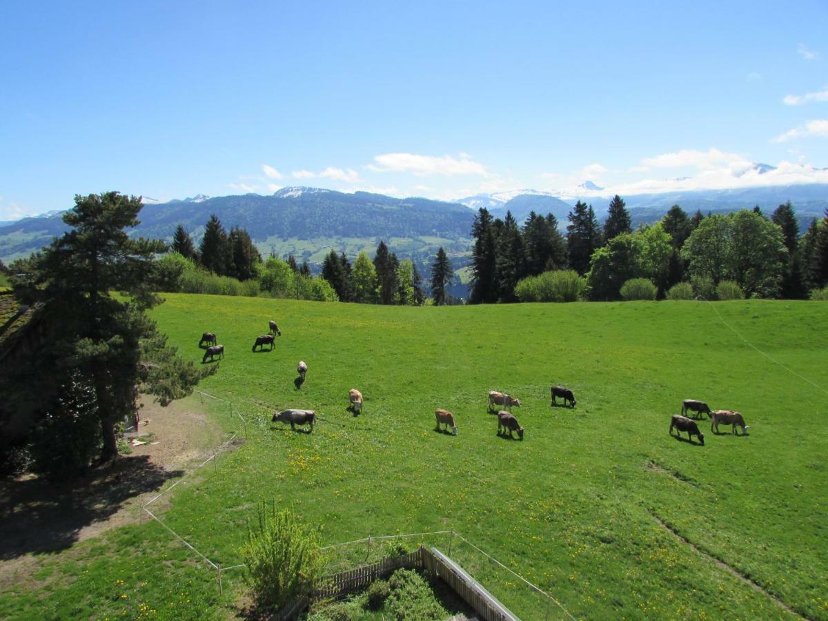Stockreutehof Lägenhet Sulzberg  Exteriör bild